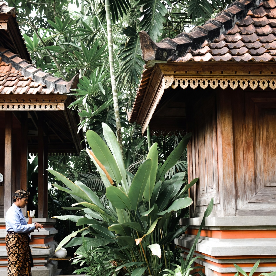 Tingkatkan Kesehatan Otak dan Perbaiki Sirkulasi Secara Alami