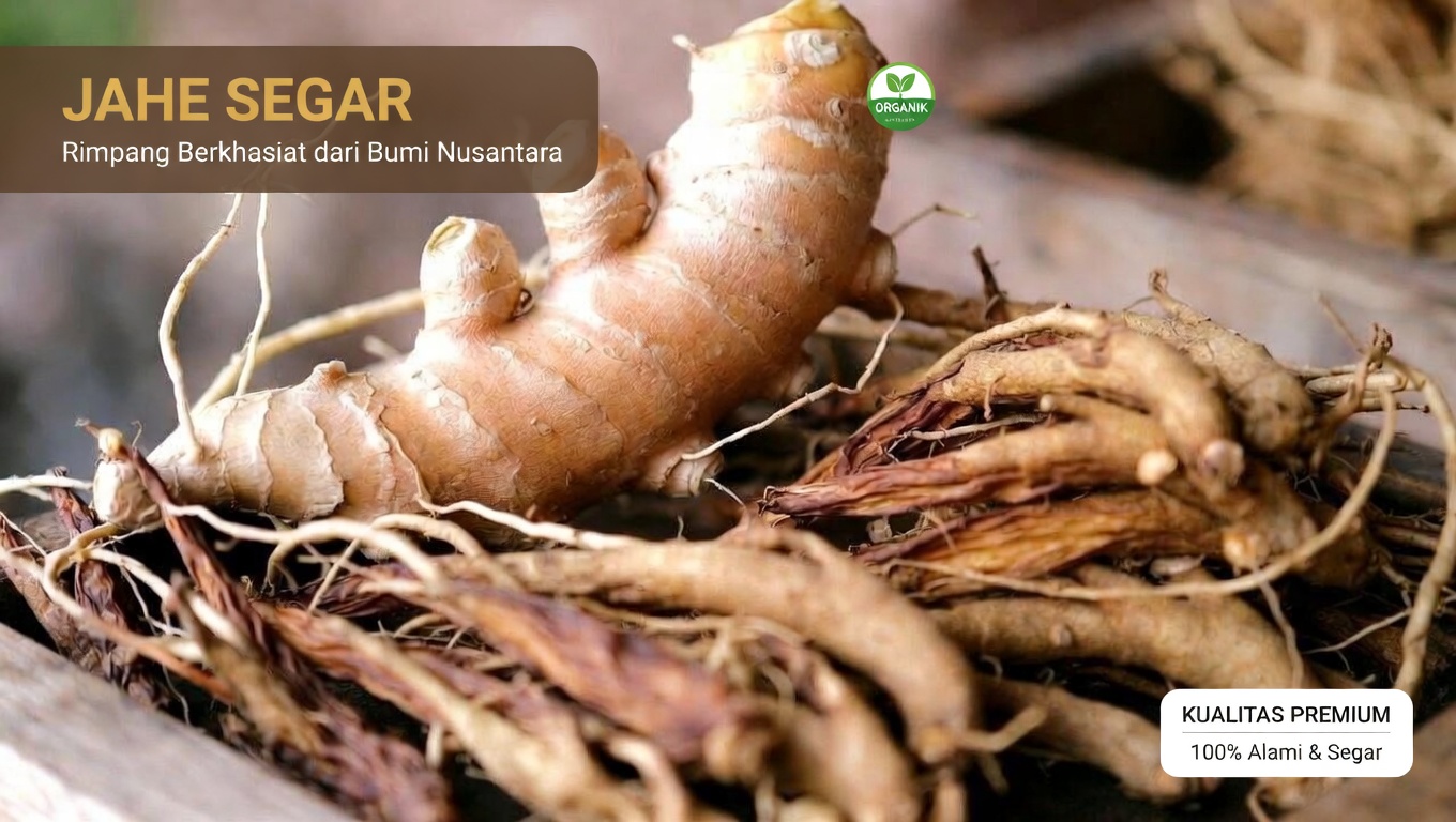 Di Atas 60? Coba 3 Teh Herbal Ini untuk Mendukung Sirkulasi Sehat dan Langkah yang Lebih Kuat dalam Jalan Kaki Harian Anda