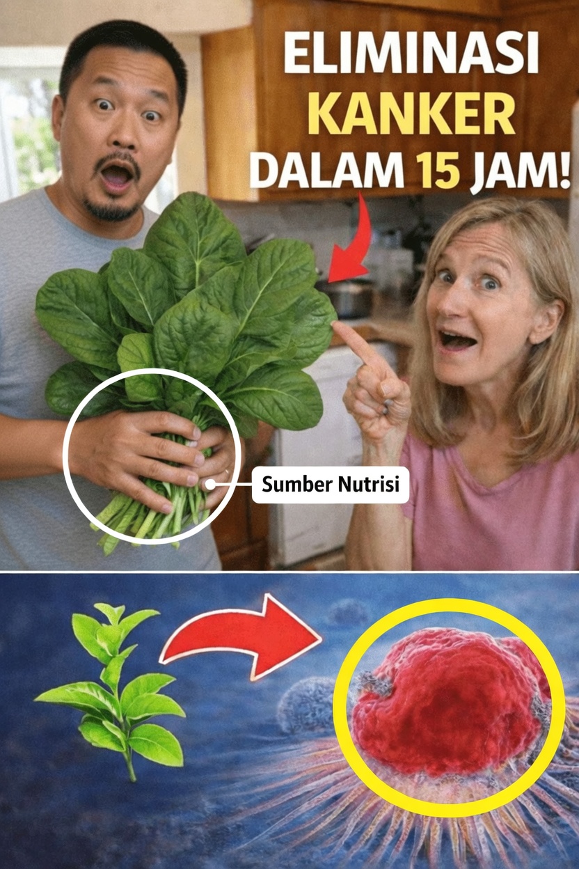 Mengapa Orang Membicarakan Sayuran Berdaun Hijau dan Pencegahan Kanker?