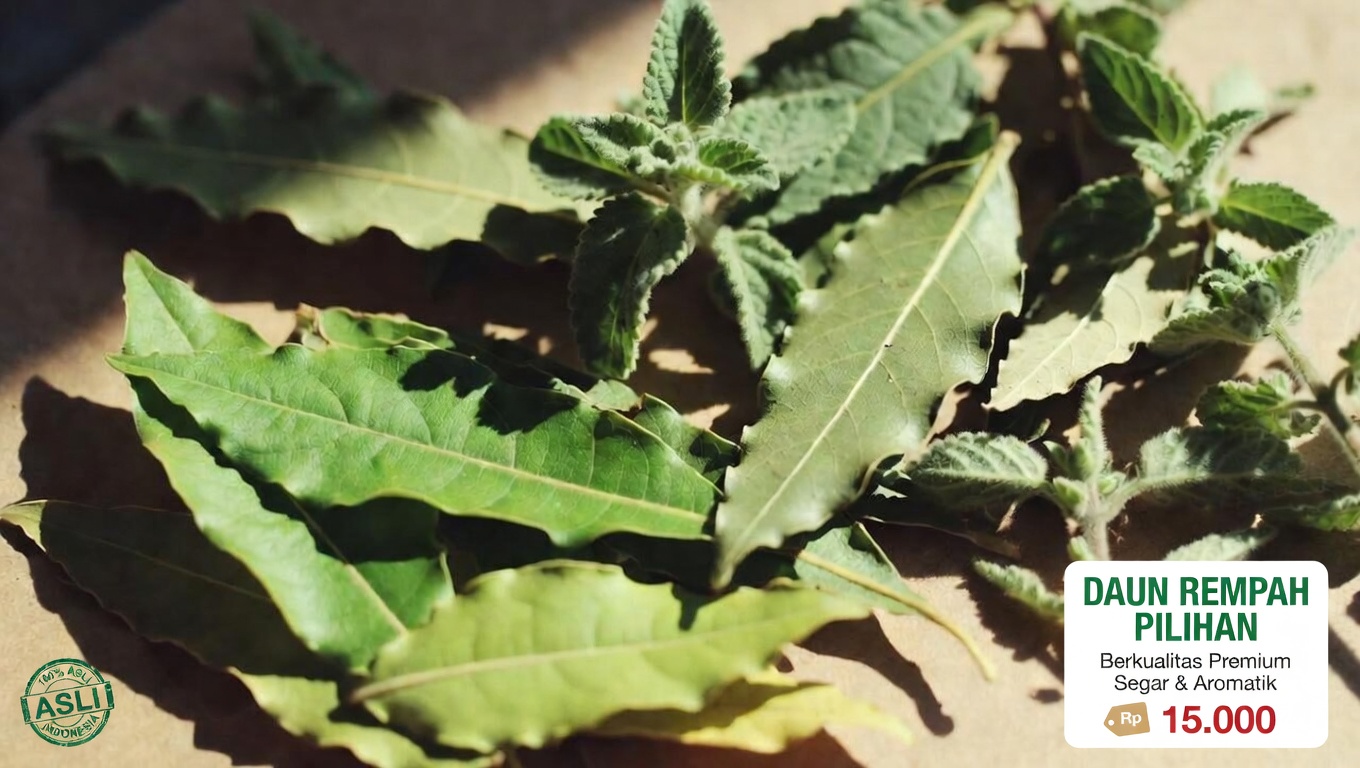 Daun Jambu Biji, Daun Salam, dan Oregano: Menjelajahi Seduhan Herbal Tradisional untuk Kesehatan Sehari-hari