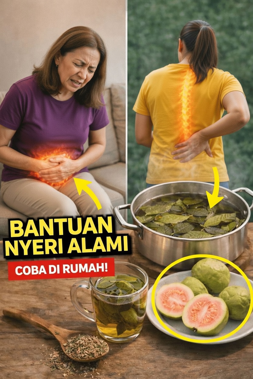 Apa Saja Cara Mengejutkan Teh Daun Jambu Biji Dapat Mendukung Rutinitas Kesehatan Harian Anda?