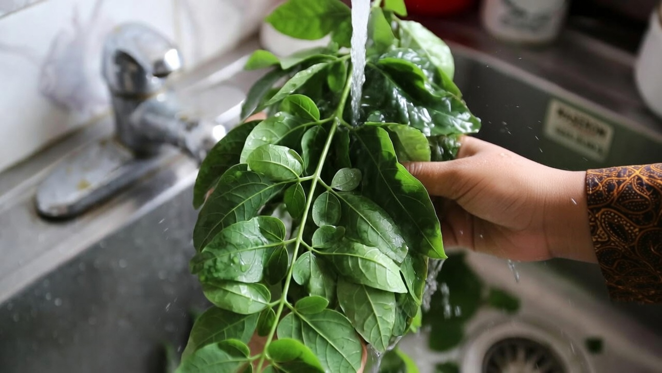 Menjelajahi Potensi Manfaat Kesehatan Teh Daun Kelor: Ritual Alami Harian