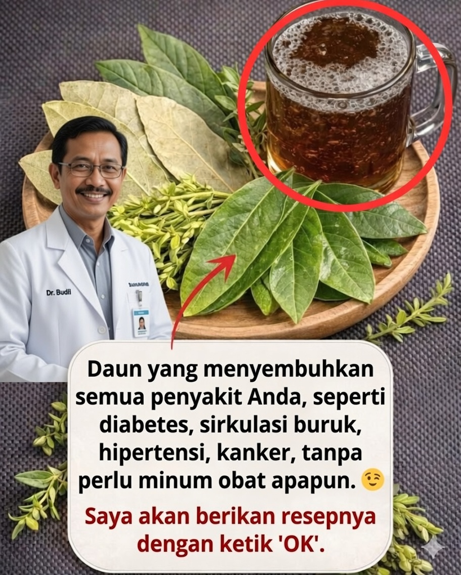 🌿 « Daun-daun yang dapat membantu Anda… »: apa yang sebenarnya diberikan daun obat bagi kesehatan Anda