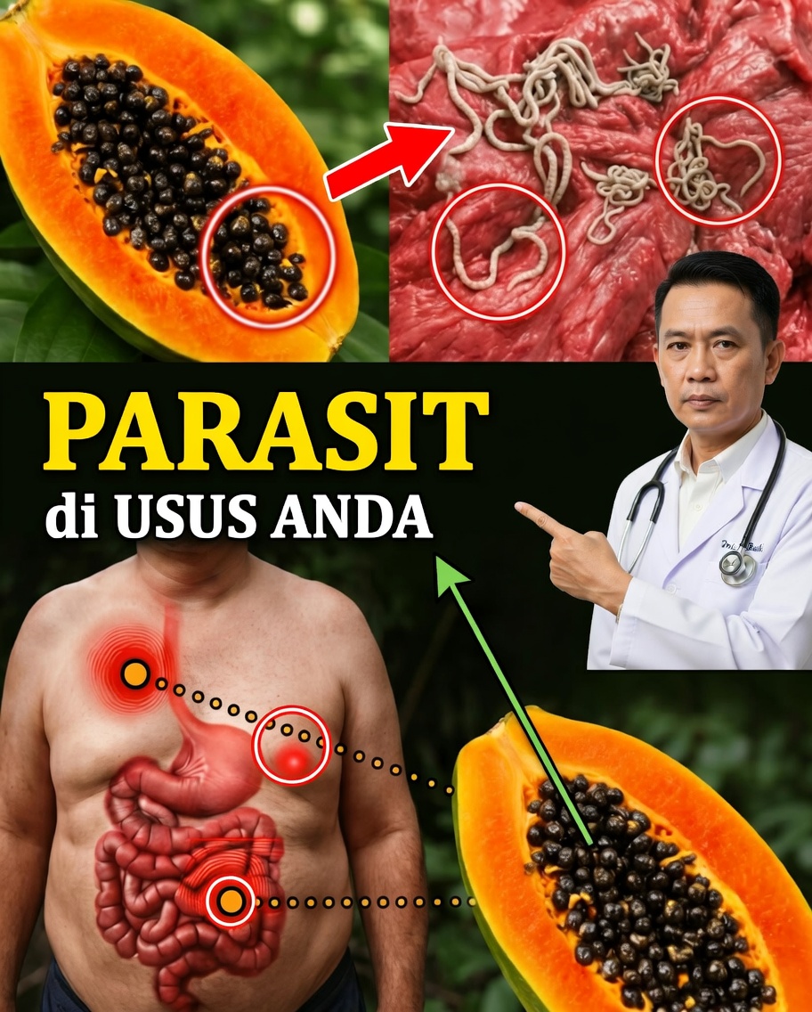 Biji pepaya: “limbah” berharga yang sebaiknya tidak lagi Anda buang