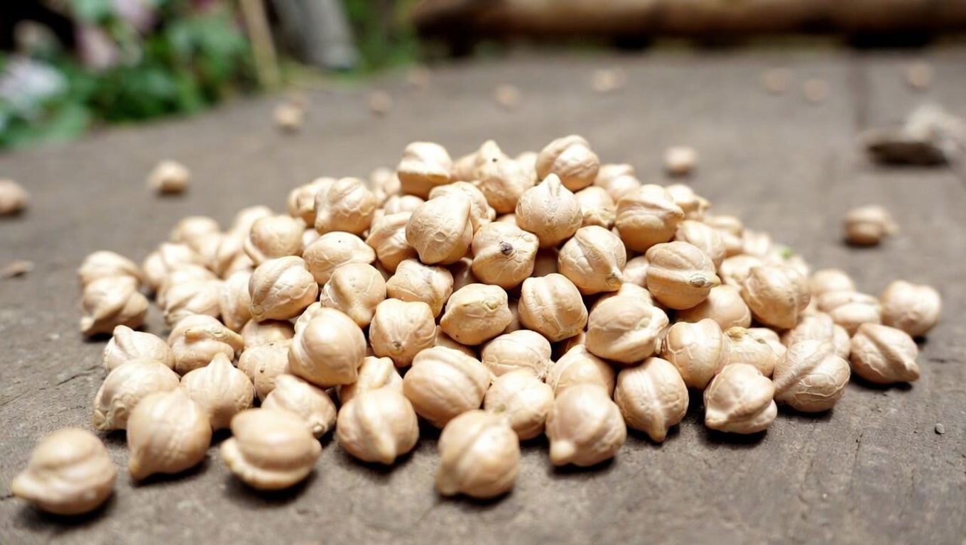 Lansia: 6 Protein yang Perlu Dibatasi dan 4 Pilihan yang Lebih Aman Jika Anda Memiliki Kekhawatiran tentang Ginjal