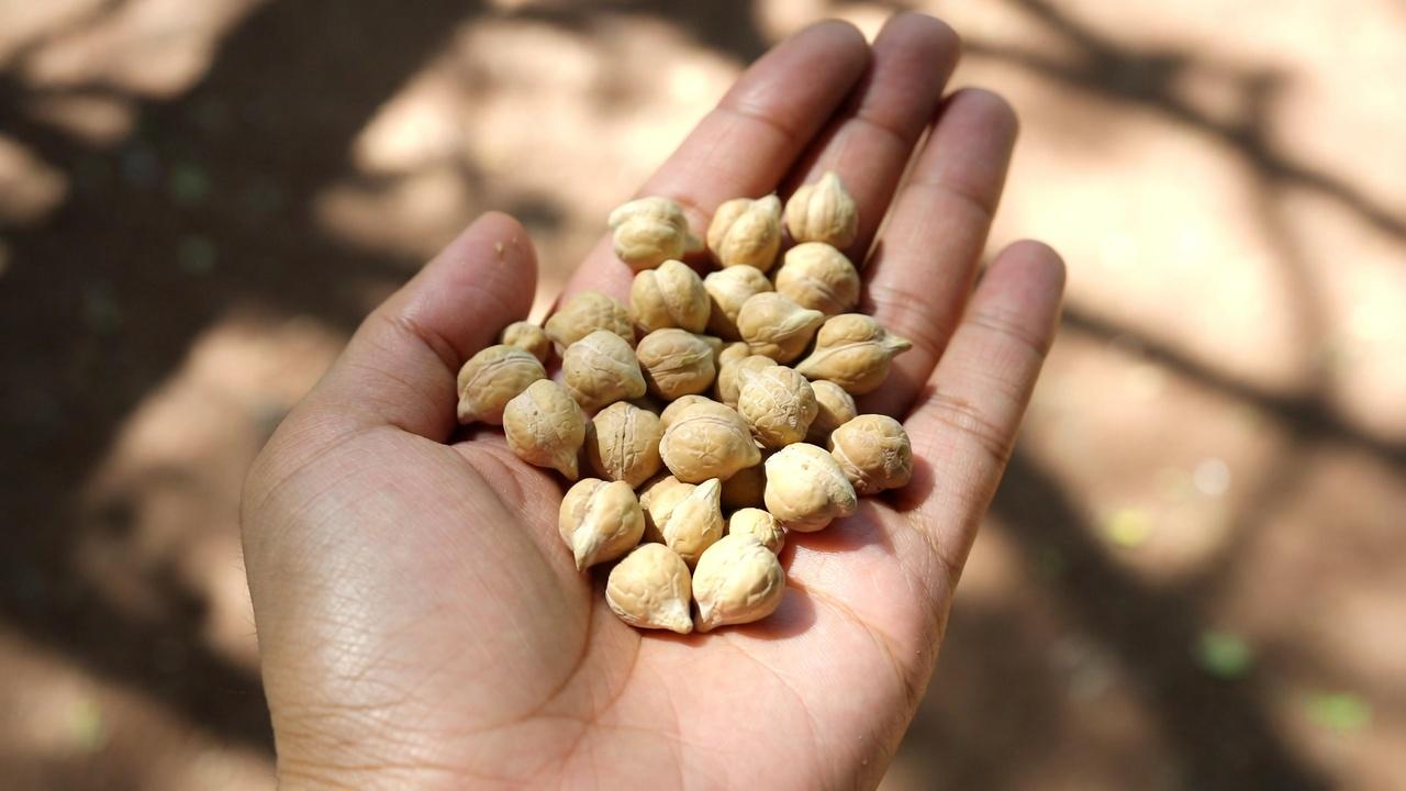 Lansia: 6 Protein yang Perlu Dibatasi dan 4 Pilihan yang Lebih Aman Jika Anda Memiliki Kekhawatiran tentang Ginjal