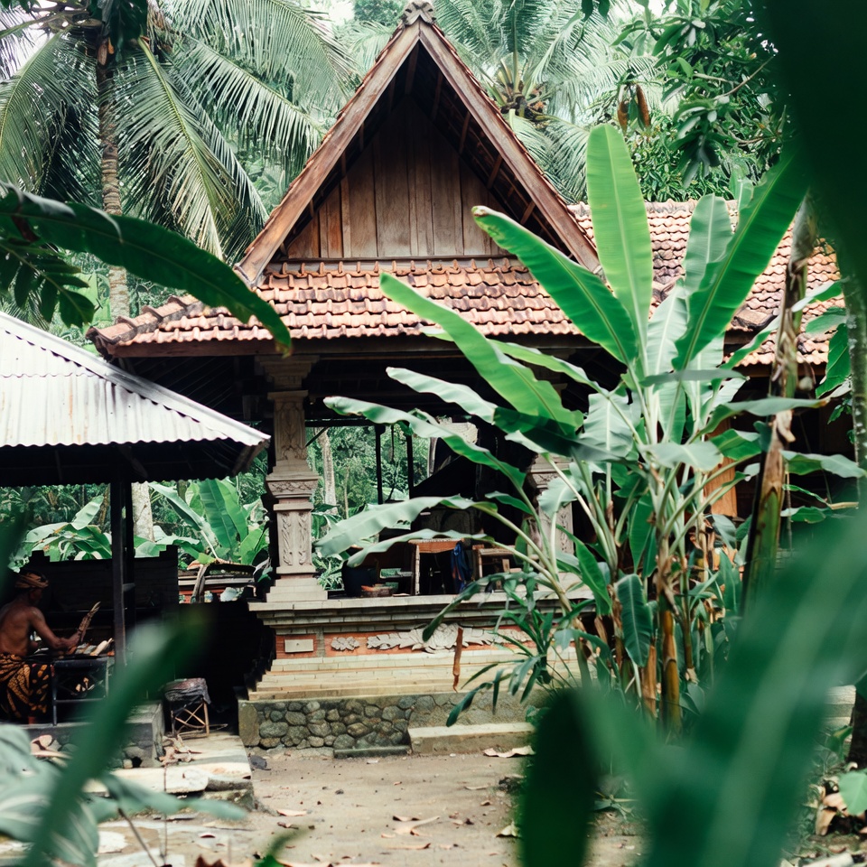 Jika alpukat Anda memiliki bercak-bercak gelap ini