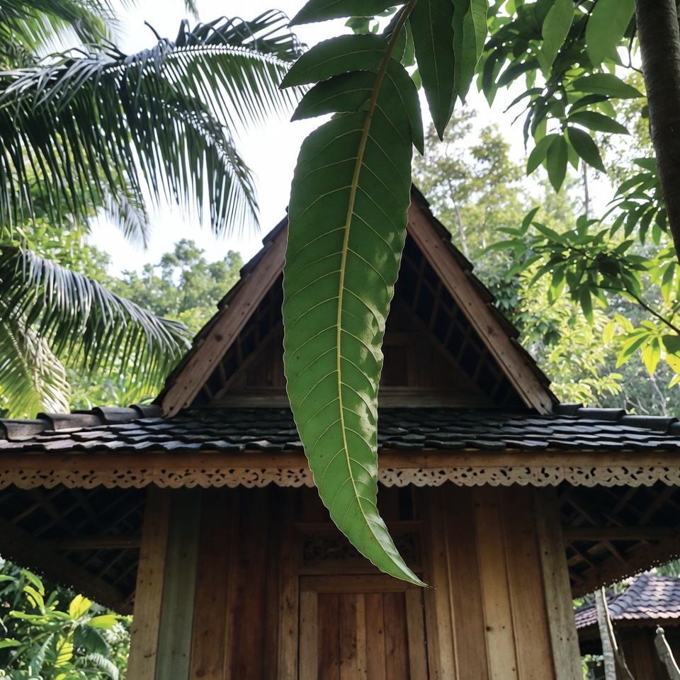 Ucapkan Selamat Tinggal pada Rambut Beruban dengan Daun Salam: