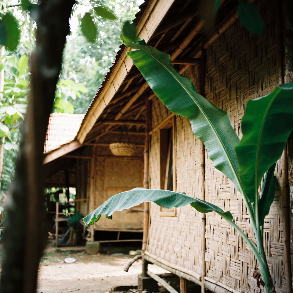 Yogurt 2 Bahan Buatan Sendiri