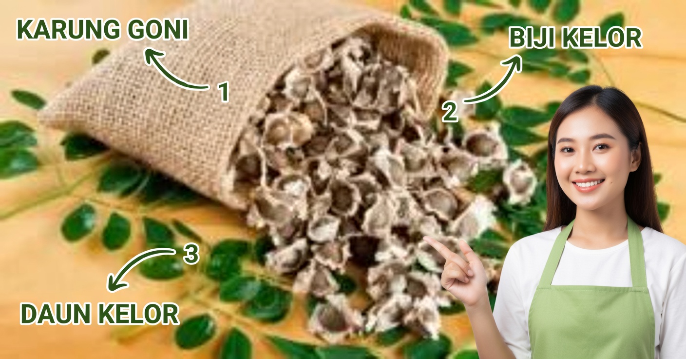 Biji Moringa: Membersihkan Hati dan Menurunkan Kolesterol