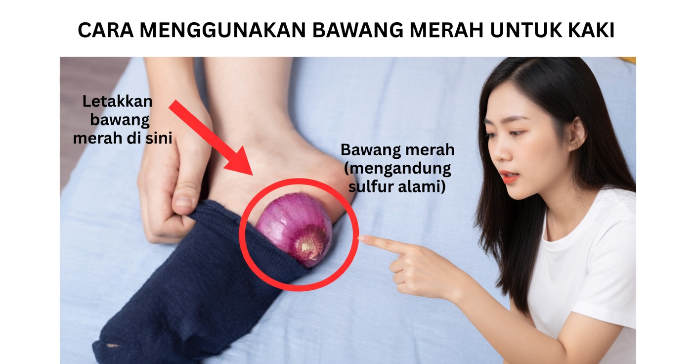 Bawang di Telapak Kaki: Manfaat Nyata bagi Kesehatan