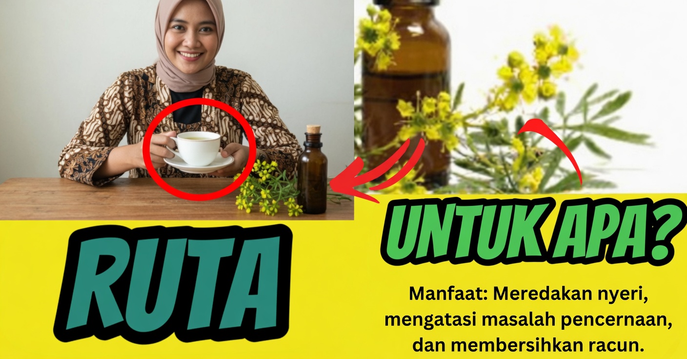Ruda untuk Kesehatan: 15 Manfaat Dahsyat
