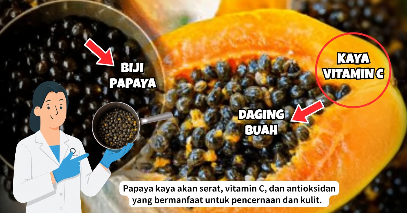 Biji Pepaya: Sifat dan Cara Menggunakannya