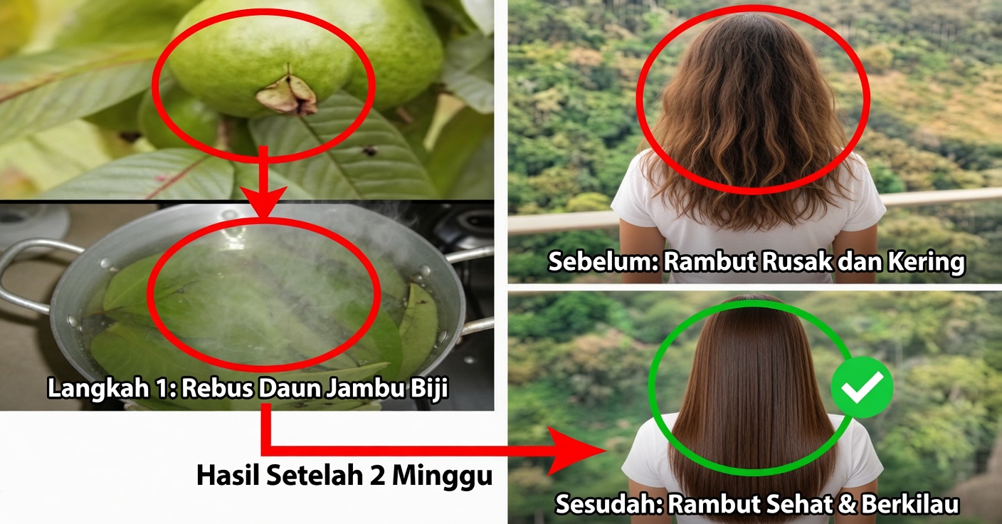 Sampo Jambu Biji untuk Rambut