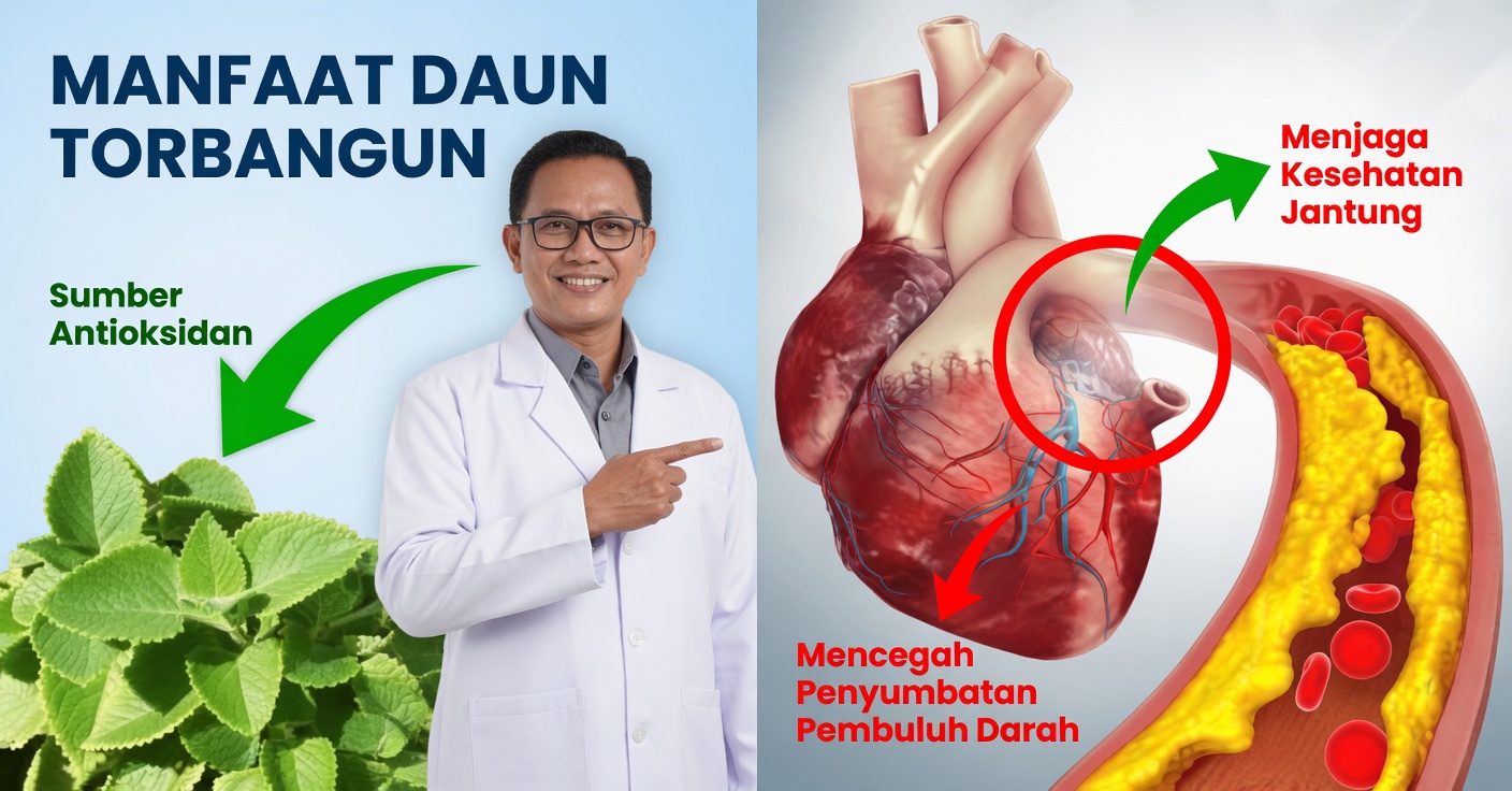 Obat untuk trigliserida: turunkan kolesterol dengan jahe, poleo, dan kayu manis