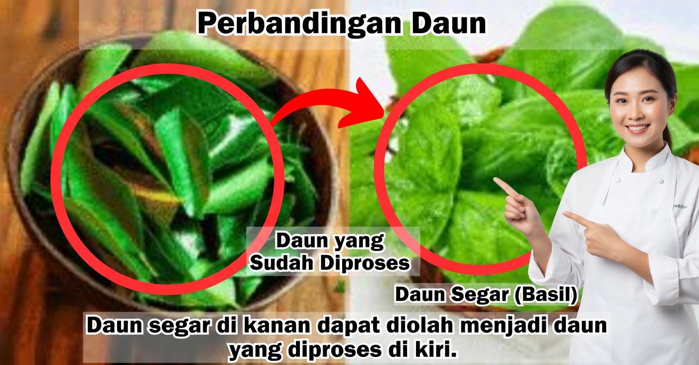 Daun Obat untuk Penglihatan: Esensial bagi Kesehatan Mata Anda
