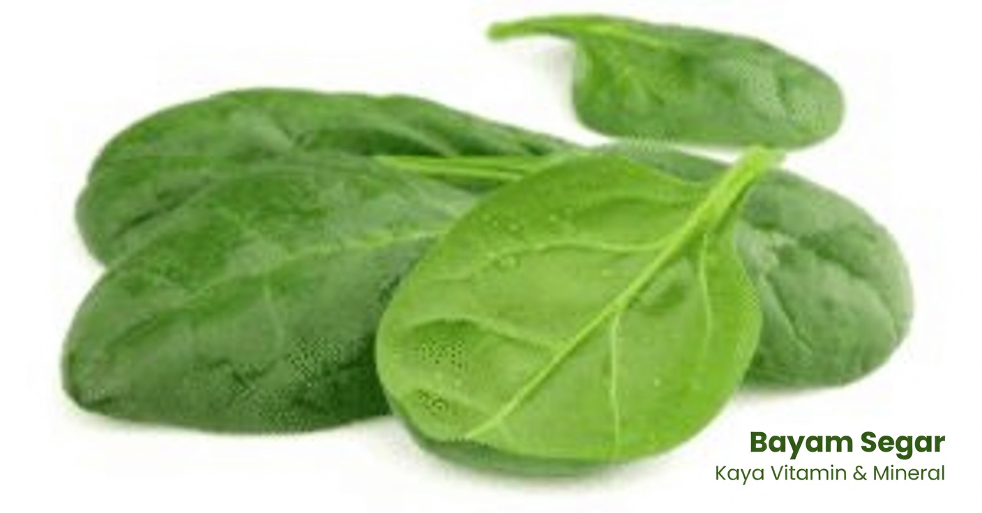 Daun Obat untuk Penglihatan: Esensial bagi Kesehatan Mata Anda