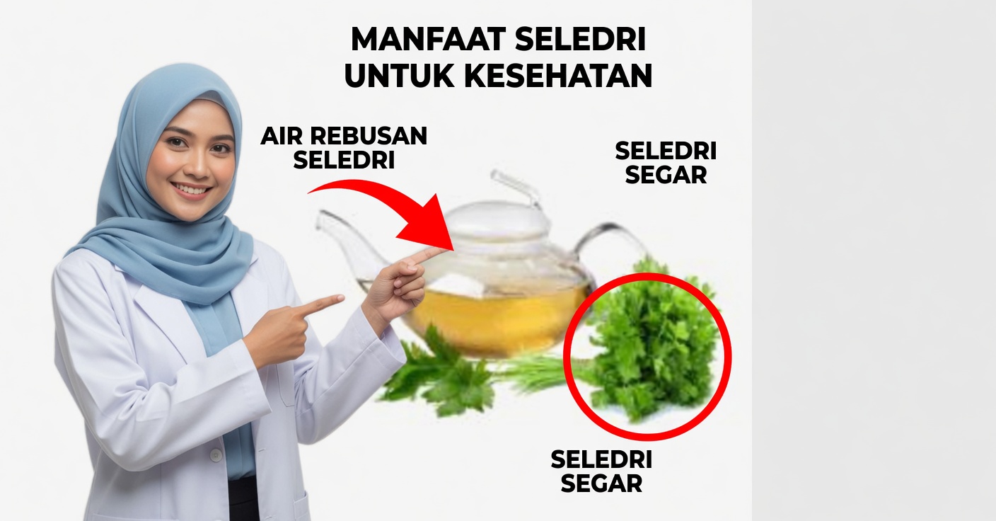 Teh Peterseli untuk Mengurangi Peradangan dan Menghilangkan Cairan Berlebih