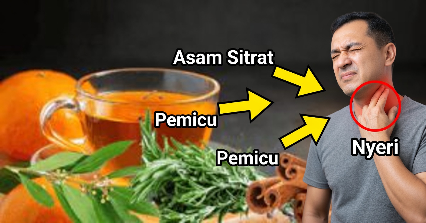 Infus kulit jeruk dan kayu manis: Meredakan nyeri dan Menurunkan berat badan