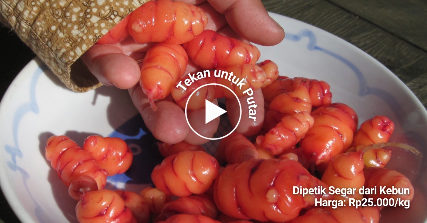 Kacang Arab dan Telur: Alternatif Tinggi Protein Tanpa Daging