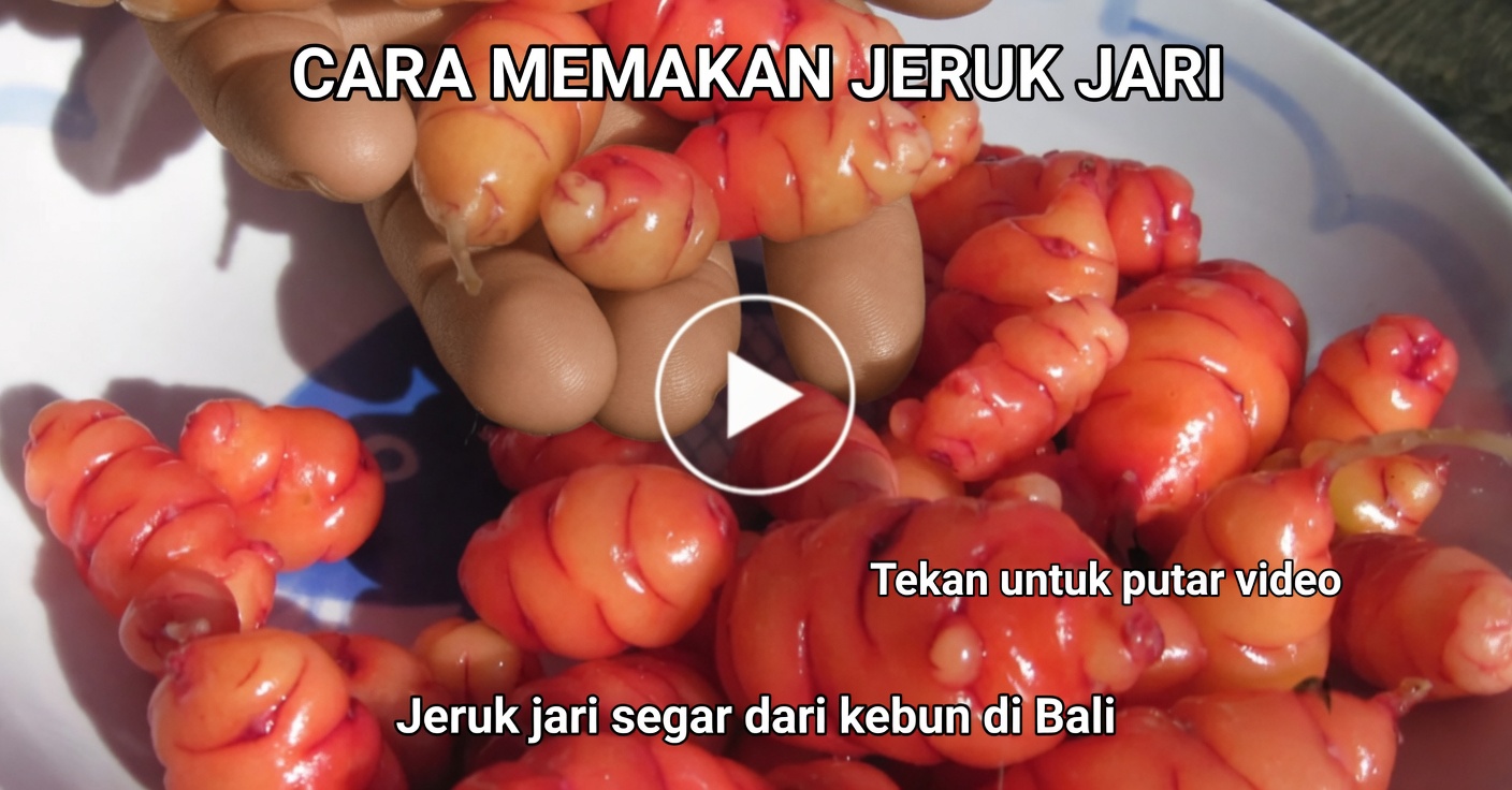 Temukan Manfaat Penurunan Berat Badan Alami dari Teh Hibiscus