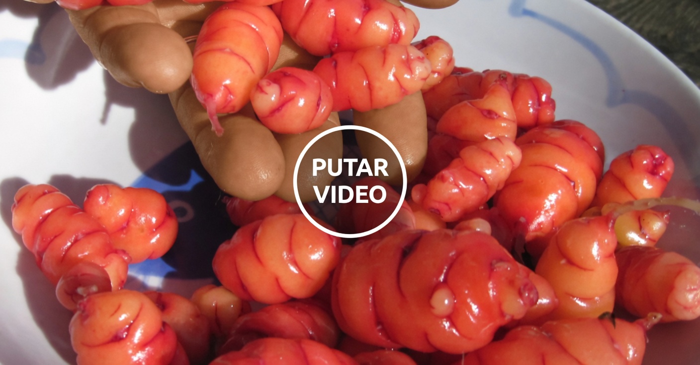 Temukan Manfaat Penurunan Berat Badan Alami dari Teh Hibiscus