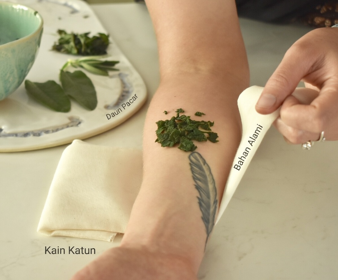 Mengungkap 6+ Manfaat Kesehatan Sida Acuta: Obat Alami dengan Sifat Penyembuhan yang Kuat