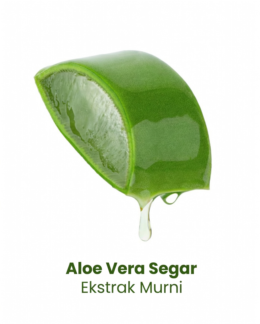 KIT DARURAT BENCANA ALAM YANG WAJIB DIMILIKI DI RUMAH 2026