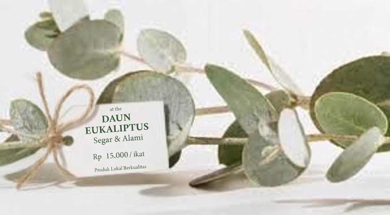 Teh Eukaliptus – Untuk Apa? – Manfaat bagi Kesehatan dan Kecantikan Anda