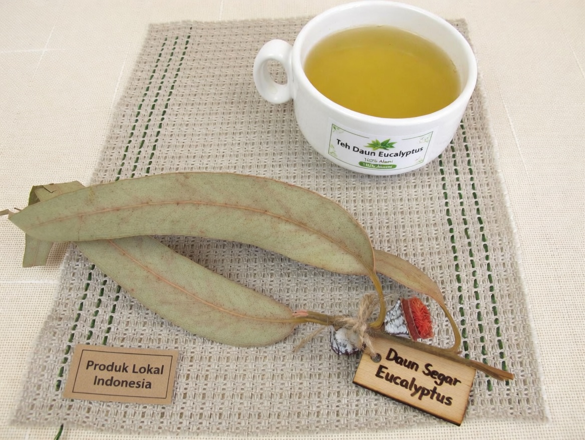 Teh Eukaliptus – Untuk Apa? – Manfaat bagi Kesehatan dan Kecantikan Anda