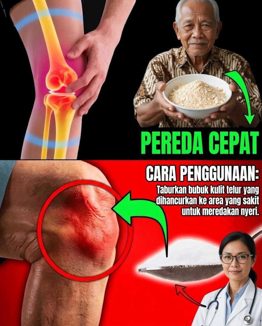 Berhenti Membuang Cangkang Telur: Rahasia Alami Sederhana untuk Kesehatan yang Lebih Kuat dan Rumah yang Lebih Ramah Lingkungan