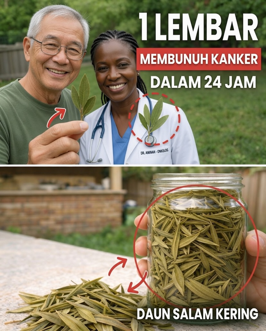 Daun yang Menarik Perhatian: Menjelajahi Daun Sirsak dan Potensinya untuk Kesejahteraan