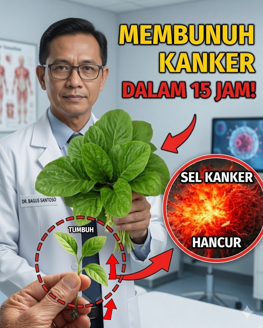 Daun yang Bisa Mengubah Kesehatan Anda Selamanya