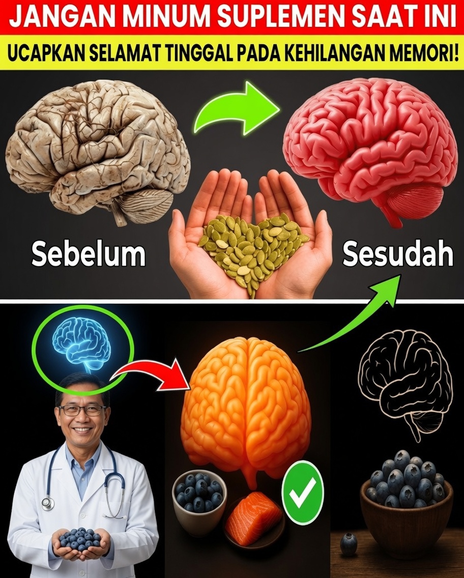 Biji Kecil Ini Bisa Menjadi Kunci Alami untuk Daya Ingat Lebih Tajam Setelah Usia 65 Tahun
