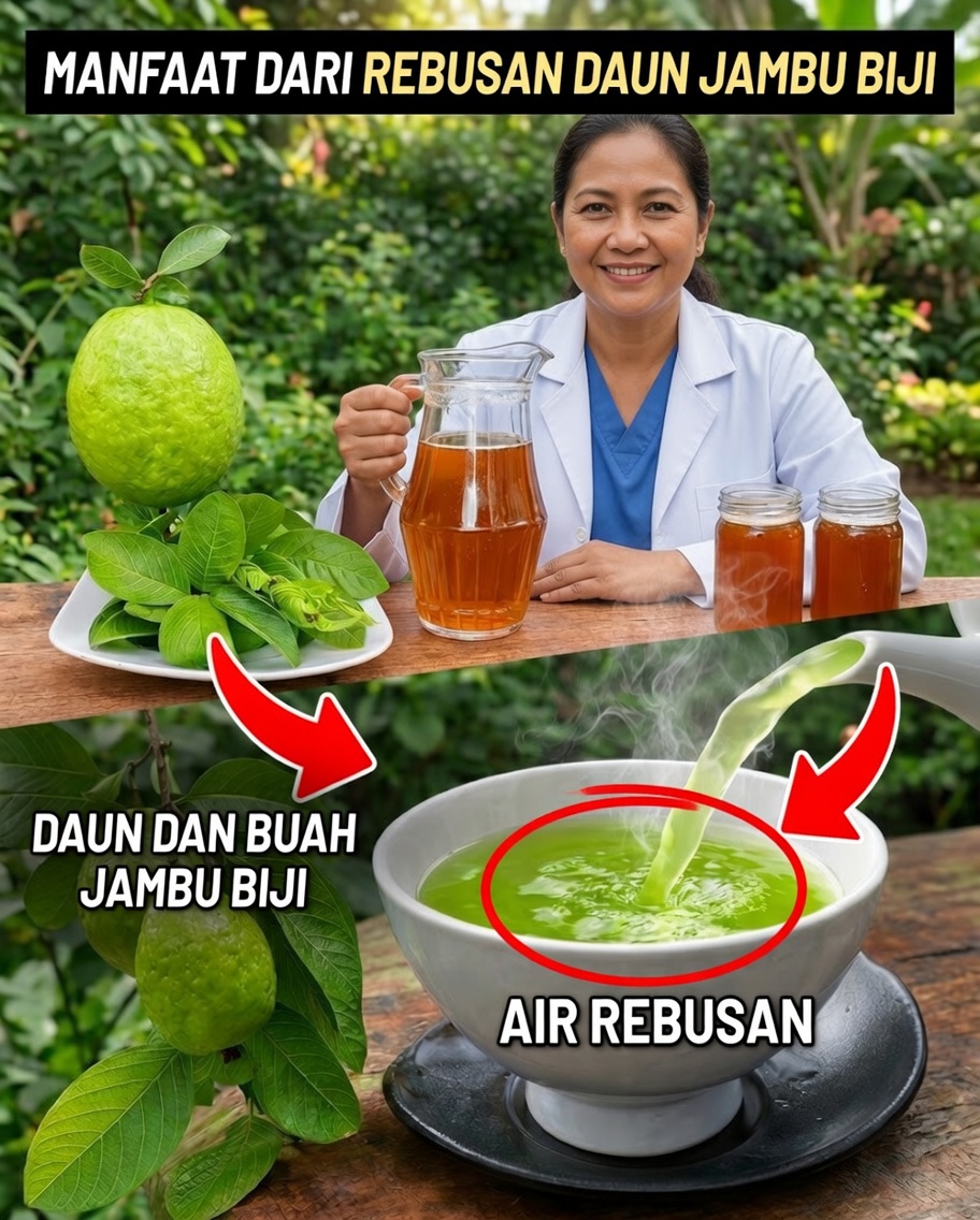 17 Alasan untuk Minum Teh Daun Jambu Biji Dua Kali Seminggu