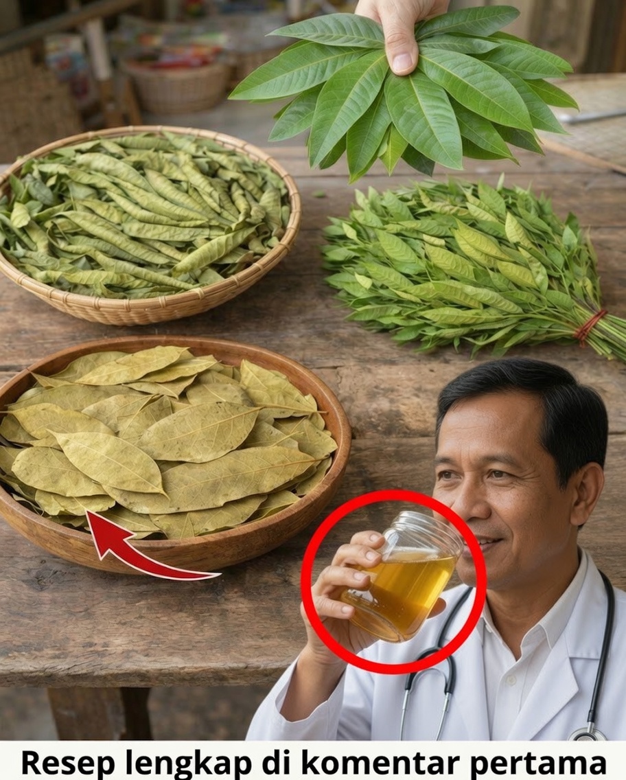 Empat Daun Obat: Alpukat, Mangga, Daun Salam, dan Jambu Biji — Hadiah dari Alam untuk Kesejahteraan Anda