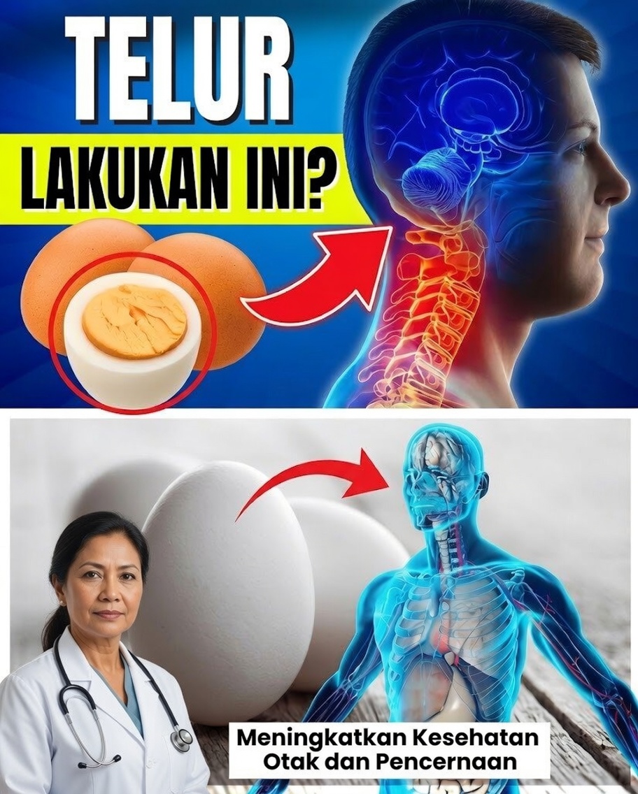 Apa yang Terjadi pada Tubuh Anda Saat Anda Makan Telur Setiap Hari? 8 Manfaat Mengejutkan yang Tidak Boleh Anda Abaikan