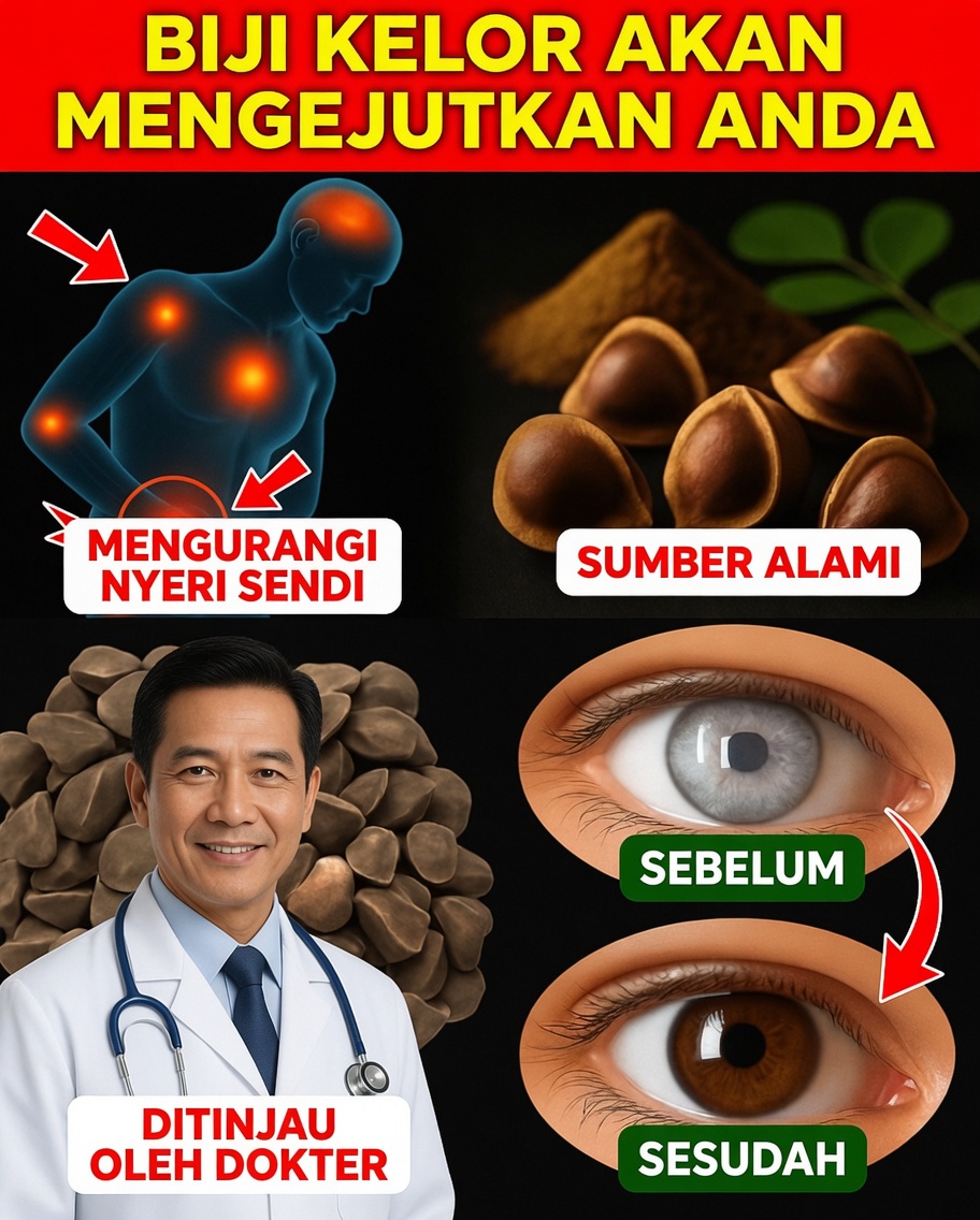 12 Manfaat Ampuh Biji Kelor yang Mungkin Belum Pernah Anda Dengar