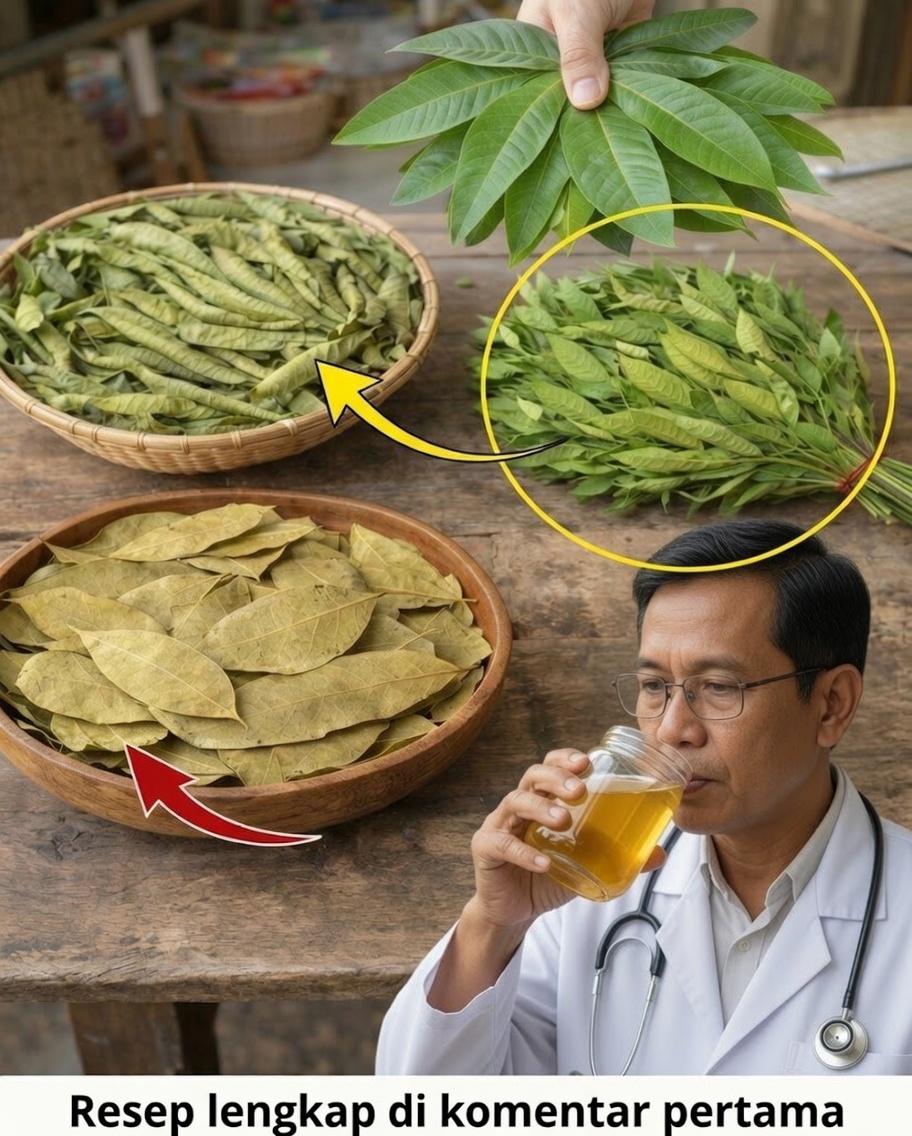 Empat Daun Obat: Alpukat, Mangga, Salam, dan Jambu Biji — Anugerah Alam untuk Kesejahteraan Anda