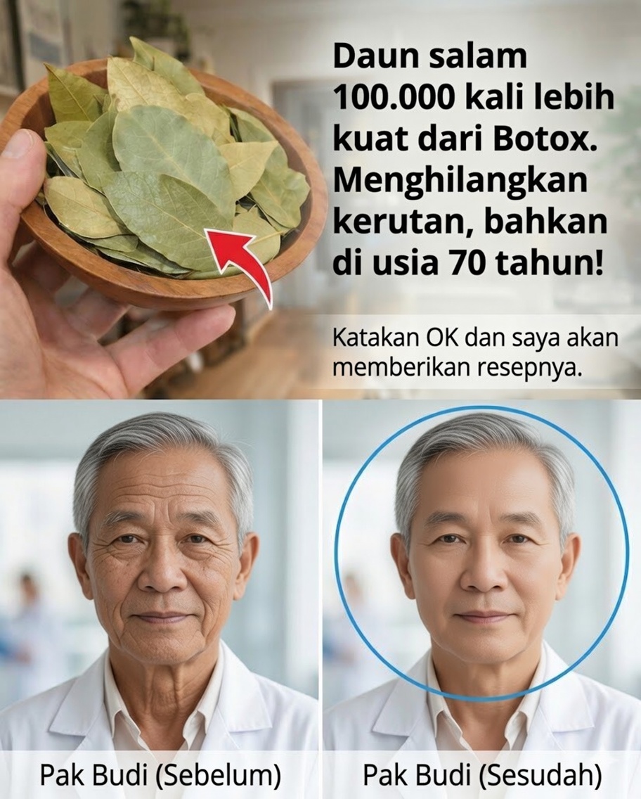 Daun Salam untuk Kerutan: Obat Anti-Penuaan Alami yang Menutrisi Kulit Anda