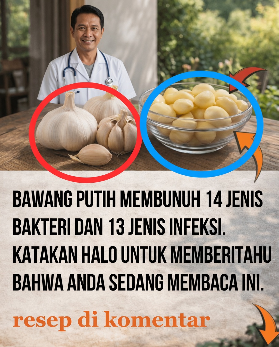 Temukan Bagaimana Bawang Putih Dapat Mendukung Pertahanan Alami Tubuh Anda Melawan Infeksi Sehari-hari