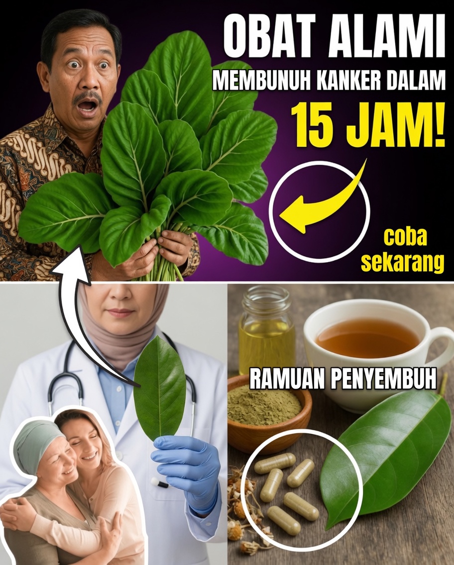 Daun Kuno Ini Sedang Kembali Populer di Era Modern — Haruskah Anda Mempertimbangkannya?