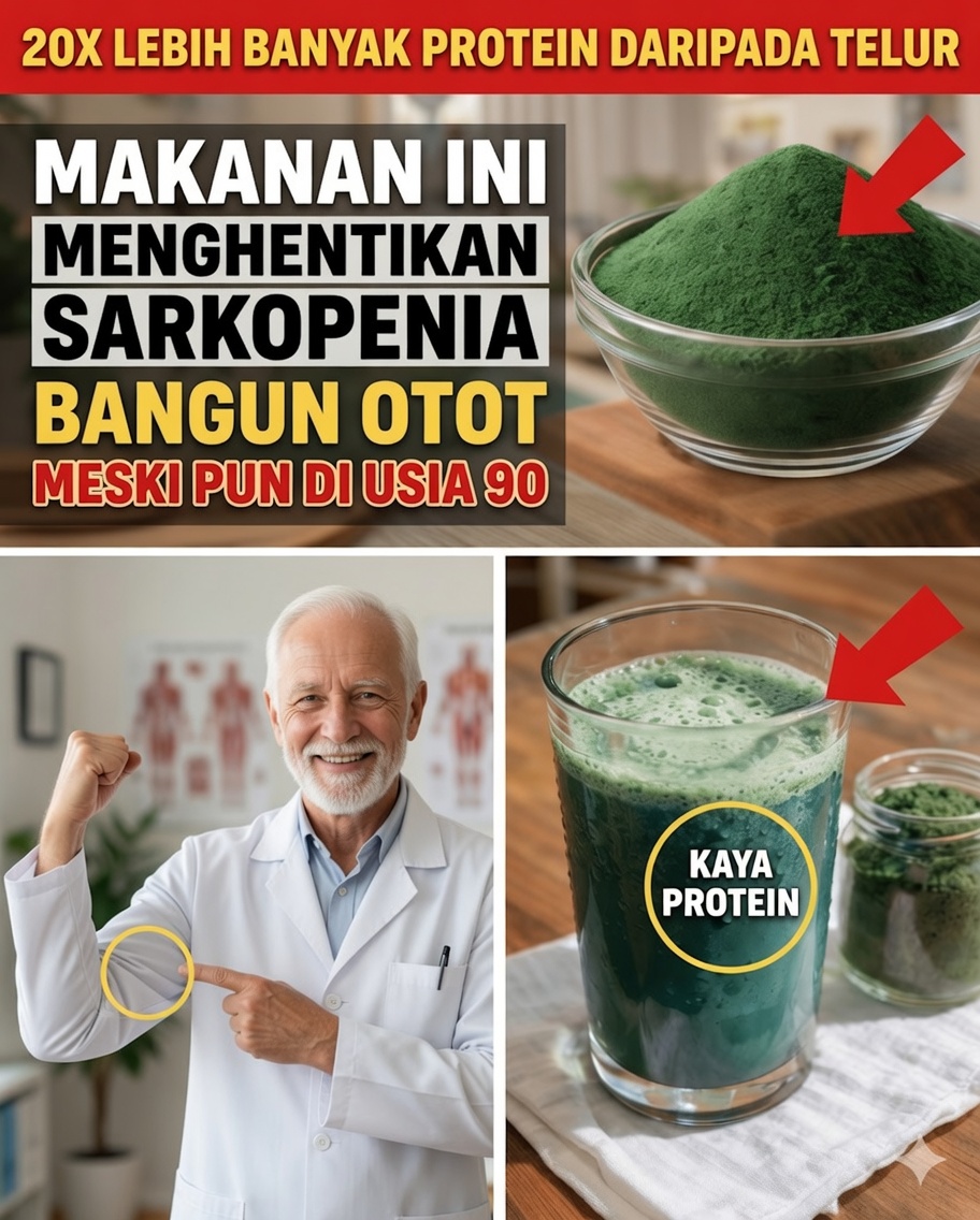 Idosos: Construa Massa Otot Setelah Usia 70 dengan 4 Protein Nabati Ini (dan Trik Waktu Sederhana yang Membuat Perbedaan Besar)