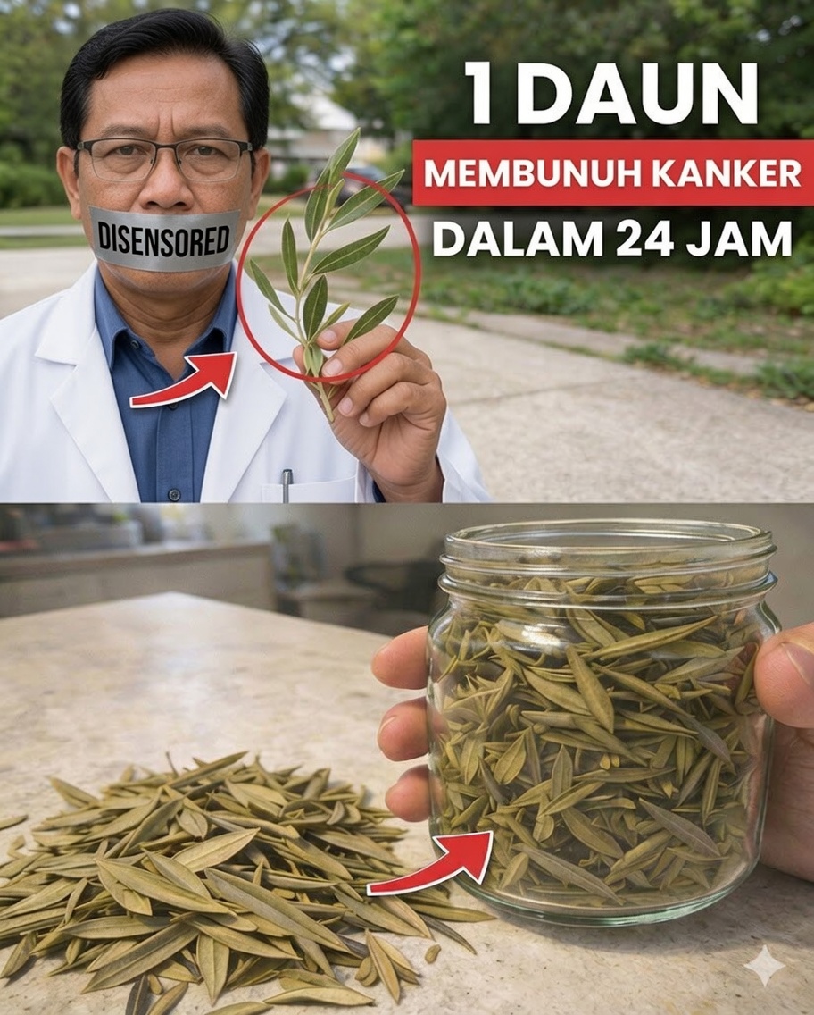 Daun yang Terlupakan yang Dapat Membantu Tubuh Anda Melawan Sel-Sel Kanker (Dan 14 Strategi Alami Lainnya yang Jarang Dibahas)