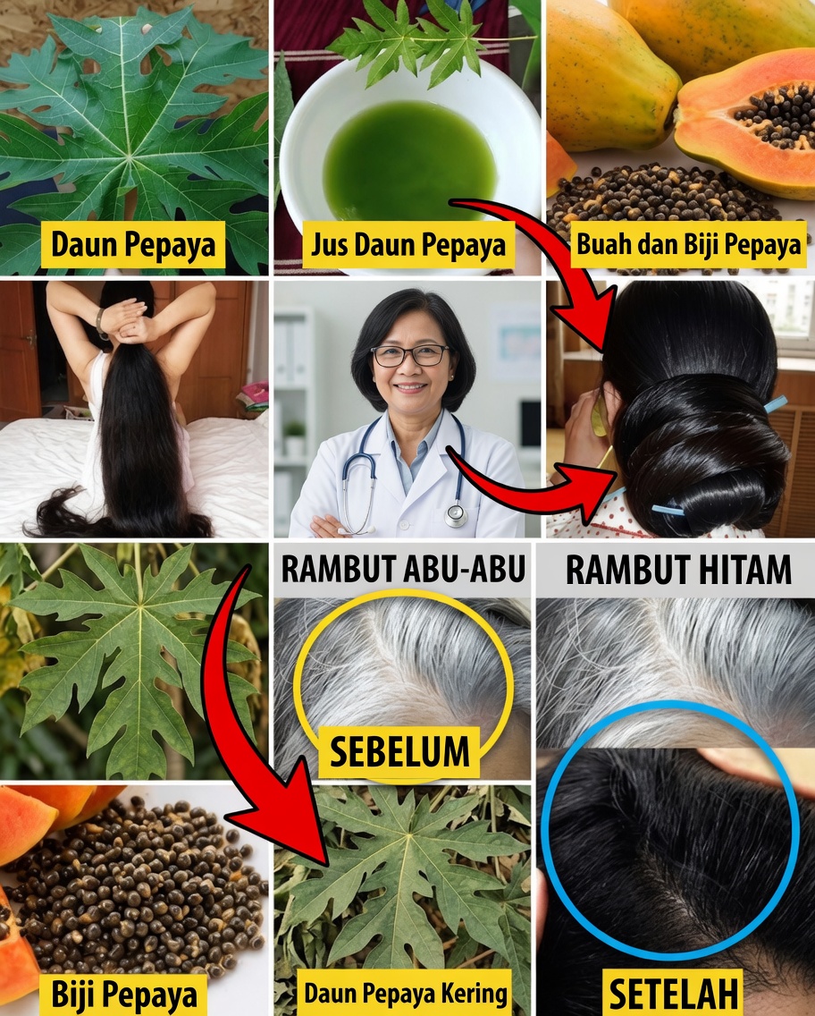 Daun Pepaya untuk Rambut Awet Muda: Cara Alami Menuju Helai Rambut yang Lebih Gelap, Lebih Kuat, dan Bercahaya