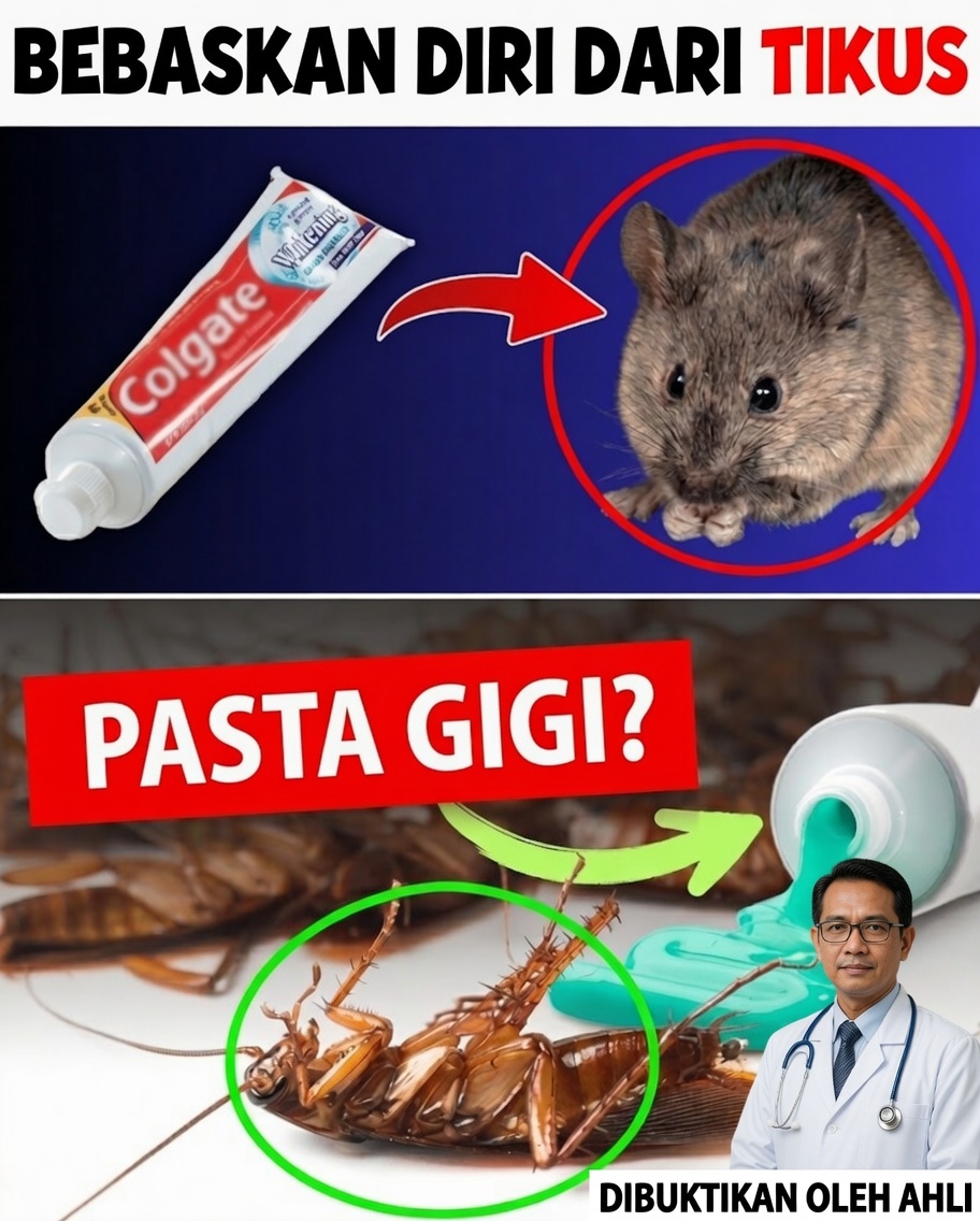 Hack Rumahan Mengejutkan: Usir Hama dengan Pasta Gigi!