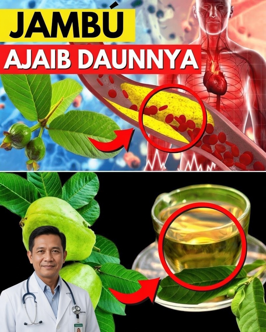 17 Alasan Ampuh untuk Minum Teh Daun Jambu Biji Dua Kali Seminggu