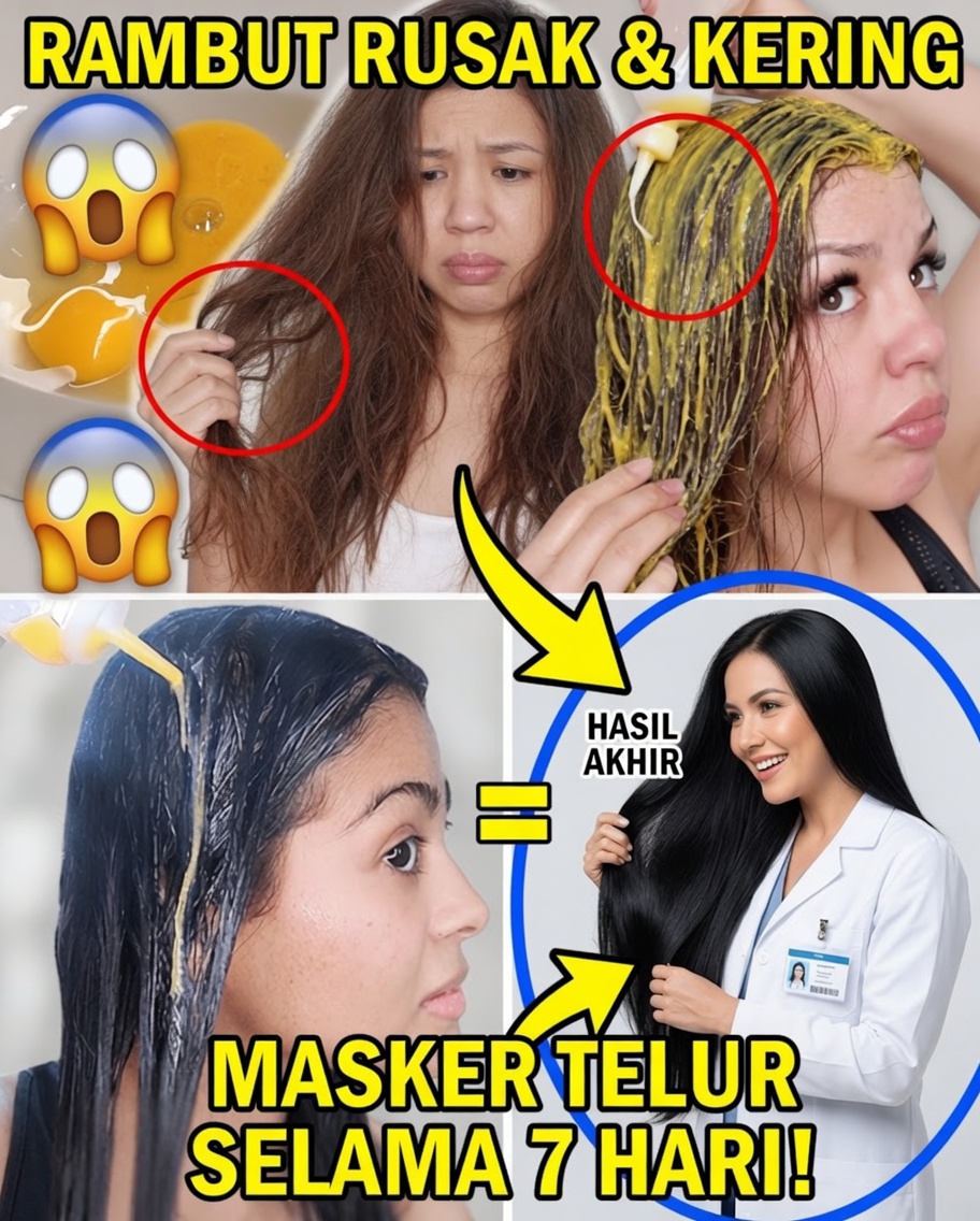 Buka Pertumbuhan Rambut dengan Kekuatan Telur dan Minyak Zaitun
