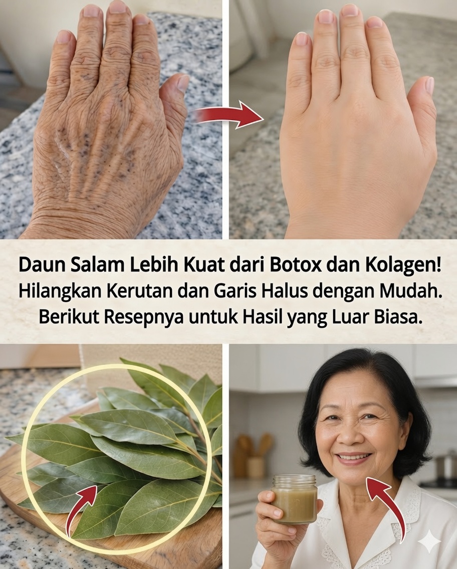 O Segredo Alami Daun Salam: Bagaimana Bumbu Sehari-hari Ini Dapat Mendukung Kesejahteraan Anda