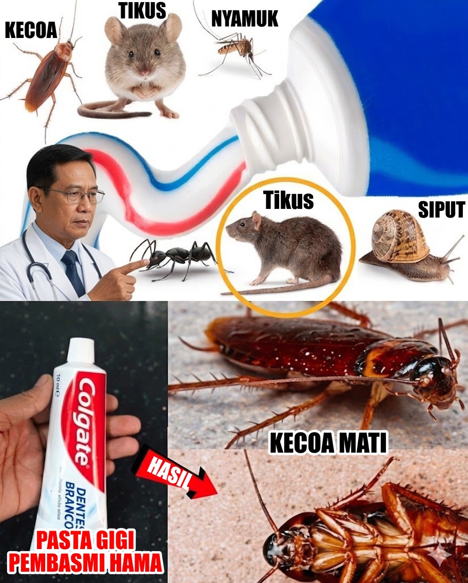 Pasta Gigi: Sekutu Mengejutkan Melawan Kecoak dan Semut